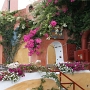 Ia auf Thia (Santorin) 2009
